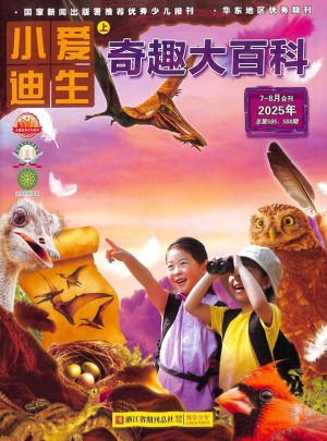 小爱迪生杂志订阅